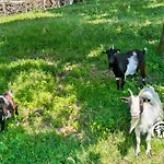 Les Petites Fontenelles * Montjean (Mayenne)